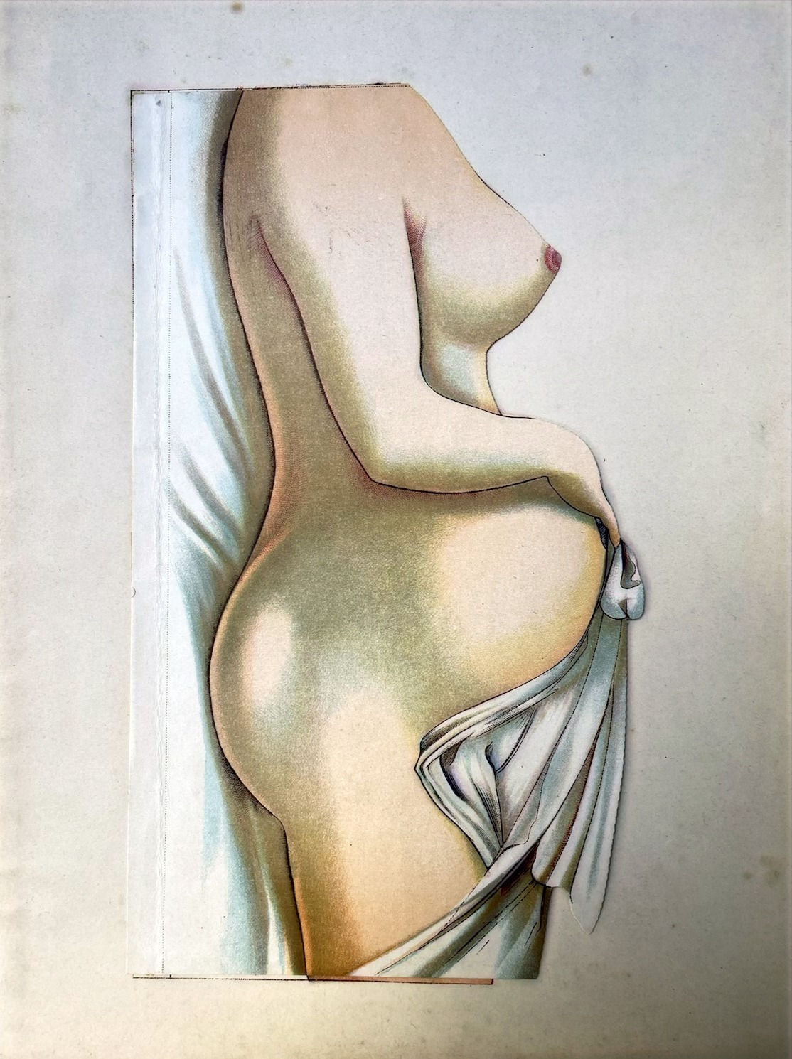 Anatomical Model of a Pregnant Woman