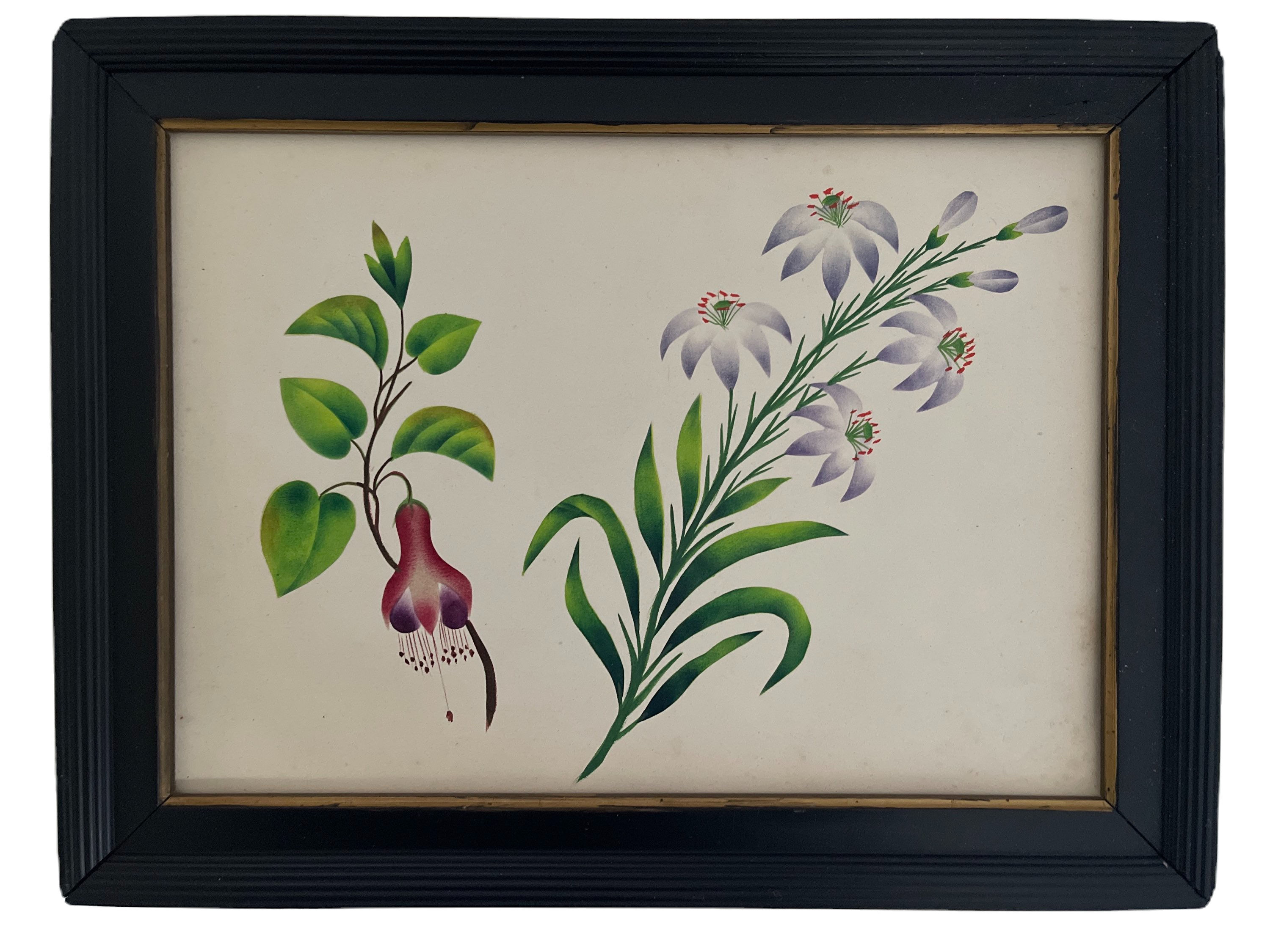 English Theorem Watercolour Flower Study, Circa1840