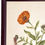 Thumbnail: Antique English Flower Study of a Calendula Officinalis