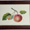 Thumbnail: Antique English Watercolour of an Apple