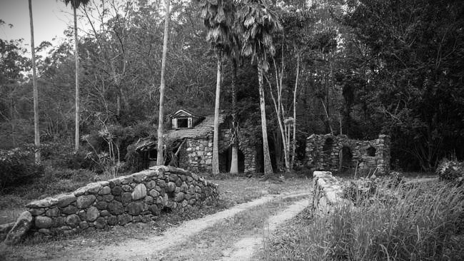 Spirits of Springbrook: Urban Legends - Paranormal explores the chilling tales and supernatural encounters hidden within the misty rainforest of Springbrook Queensland 