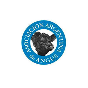 FENUCCI - Angus 1