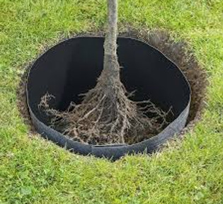 ROOT BARRIER.jpg