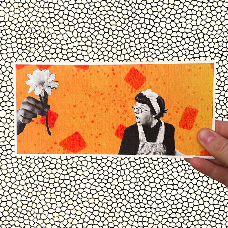 Miniaturbild: Postkarten im Querformat