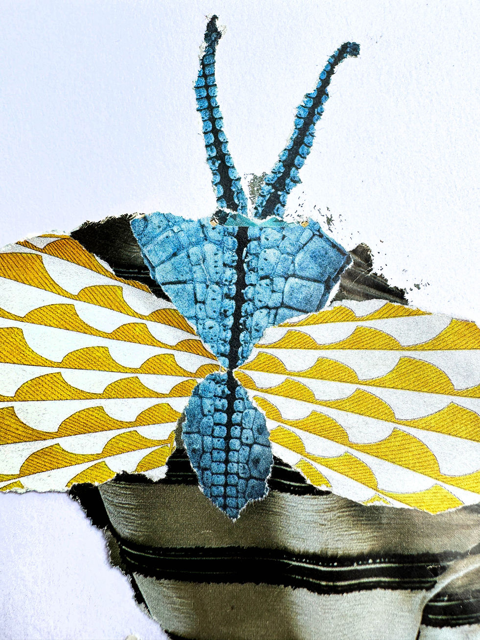 Miniaturbild: papierWESEN