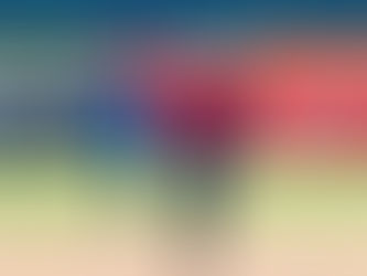 Bisons split doubleheader against Railriders 