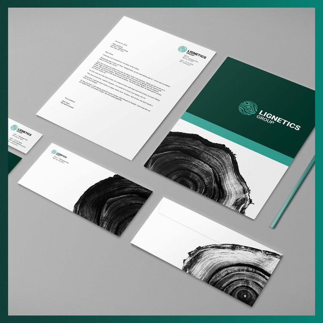 Lignetics post 2a.jpg