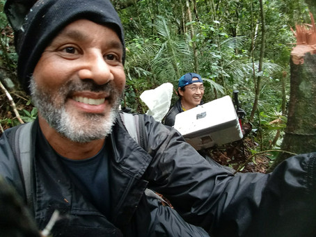 Caça ao satélite perdido!