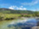 homepage1.jpg