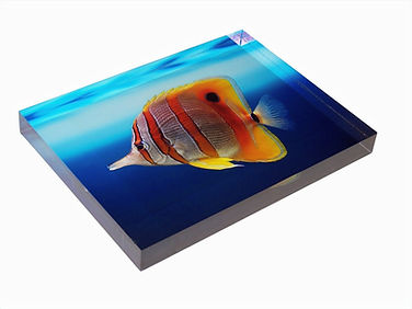 mounted acrylic block bondi junction sydney altaphotoca