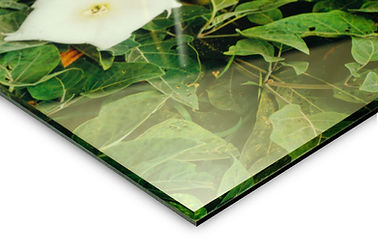 Acrylic Mount Altaphotoca sydney