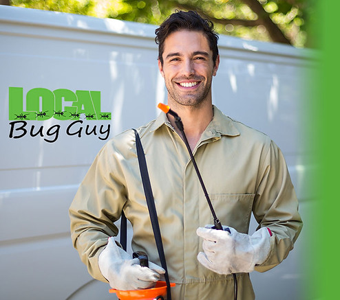 General pest control in Spanish Fork