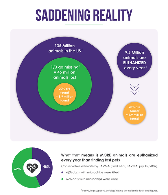 Saddening Reality | Pawsitively Reunited
