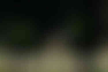 modern garden features