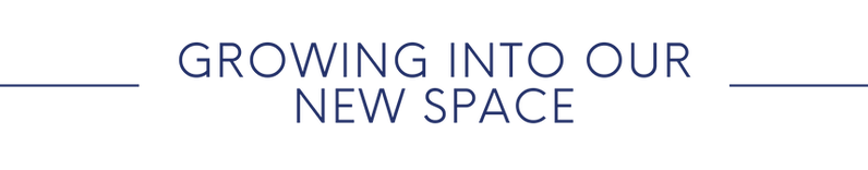 #2 NEWSLETTER HEADERS.png