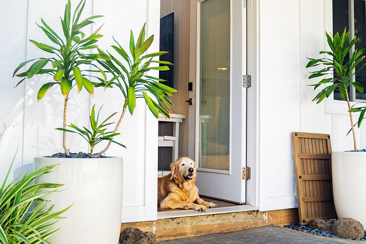 Wall-Ohana-Move-In-28.jpg
