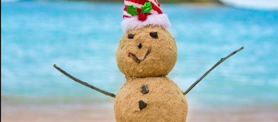 Kailua's Festive Holiday Markets Guide: Joyful Activities & Last-Minute Shopping!