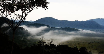 nyungwe national park.jpg