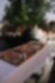JDRenataAmazonasSanDiegoWeddingPhotographer-1070.jpg