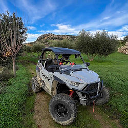 Alligator Buggy Safari