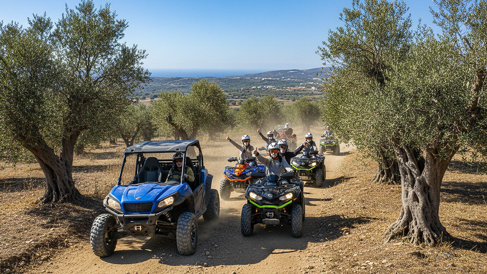 Wide angle view of a buggy driving along a dirt path with olive trees on both sides