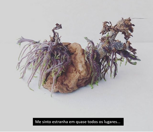 batata_estranha.png