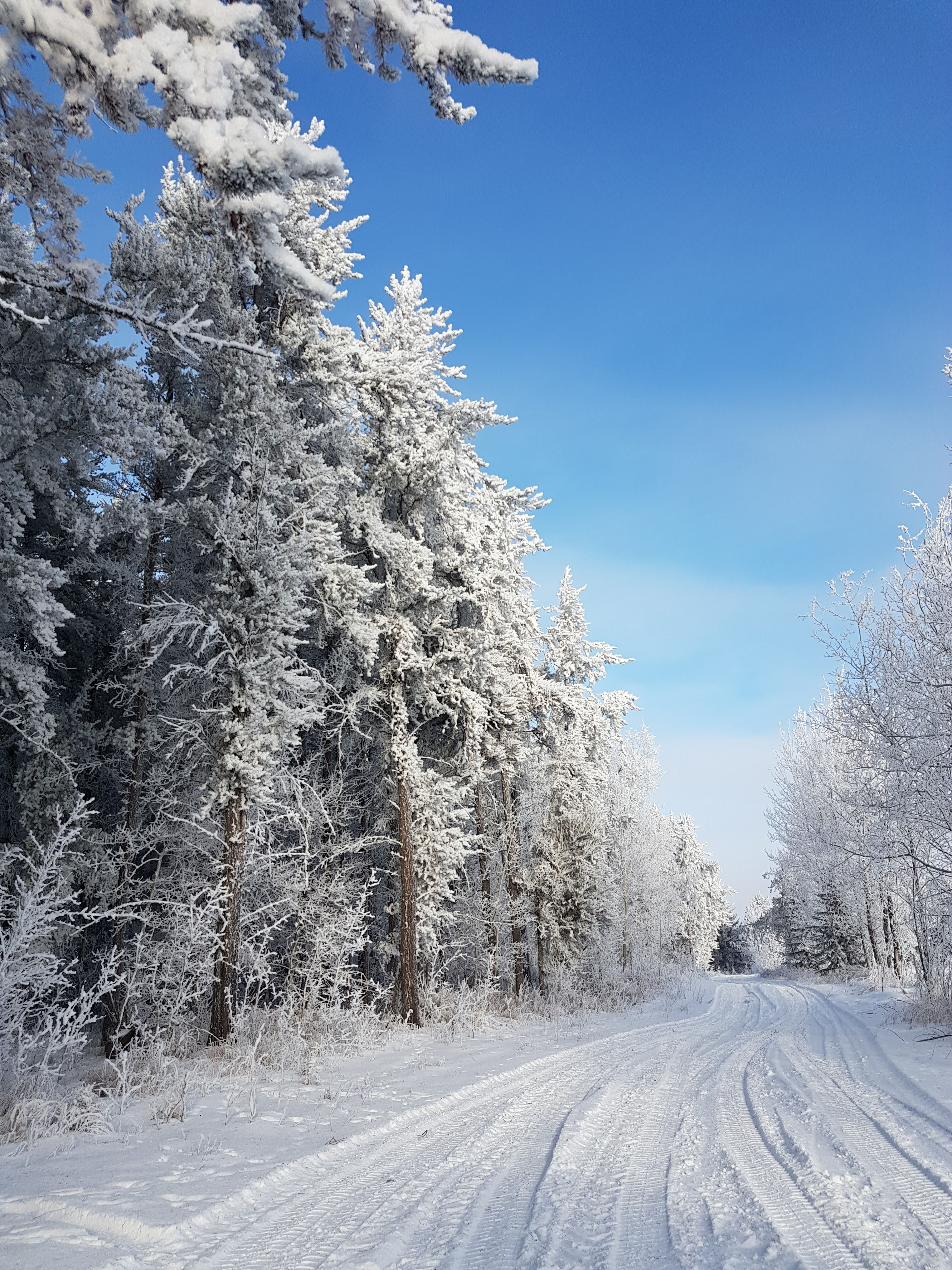 Winter Comfort package