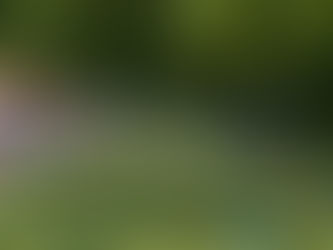 De / Die schnällscht Bözberger:in