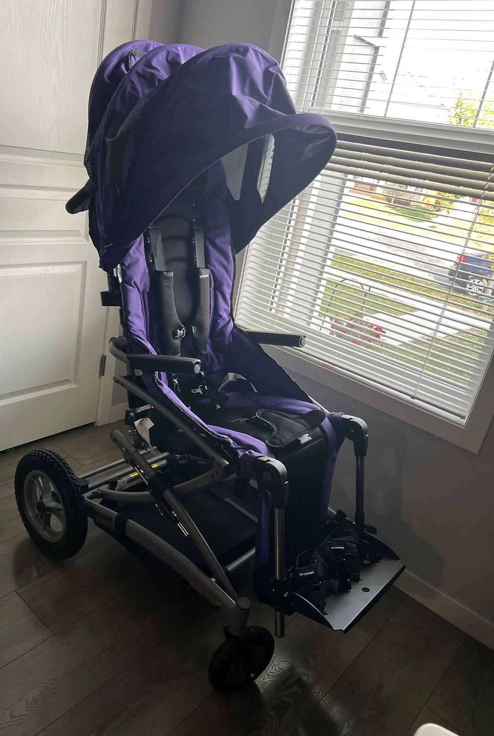 Autumn Adaptive Stroller.jpg