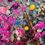 Thumbnail: Vintage Spring