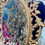 Thumbnail: Vintage Spring