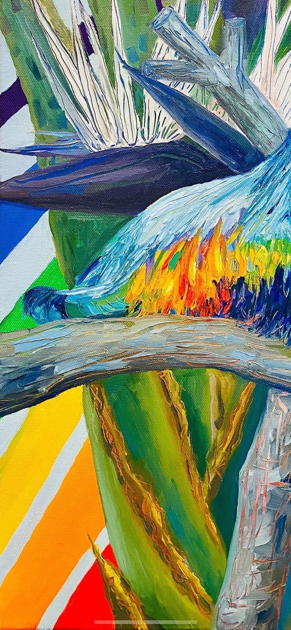 Thumbnail: A Bird of Paradise 12x24”