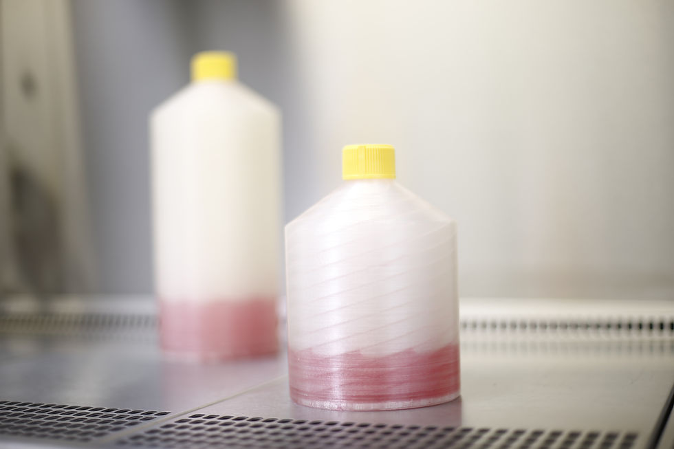 Photo of an adherent cell culture expansion system under the hood in the lab with media