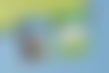 A imagem mostra duas peças lado a lado. À esquerda, um pôster com um jovem negro em uma cadeira de rodas, com o fundo azul claro e pinceladas coloridas. No topo, estão os logos da Hexion e 'Respeito For All'. O texto principal diz: 'abrindo caminhos para inclusão'. À direita, um cartaz verde com um caça-palavras intitulado 'tente encontrar as expressões', com palavras relacionadas à acessibilidade e inclusão. Abaixo, há uma pergunta em destaque: 'Foi fácil encontrar todas as expressões?', incentivando a reflexão sobre o tema.