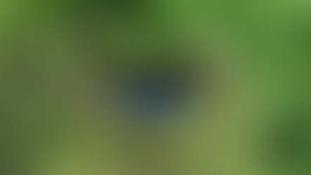 27 Moths & Butterflies Can’t be Wrong!