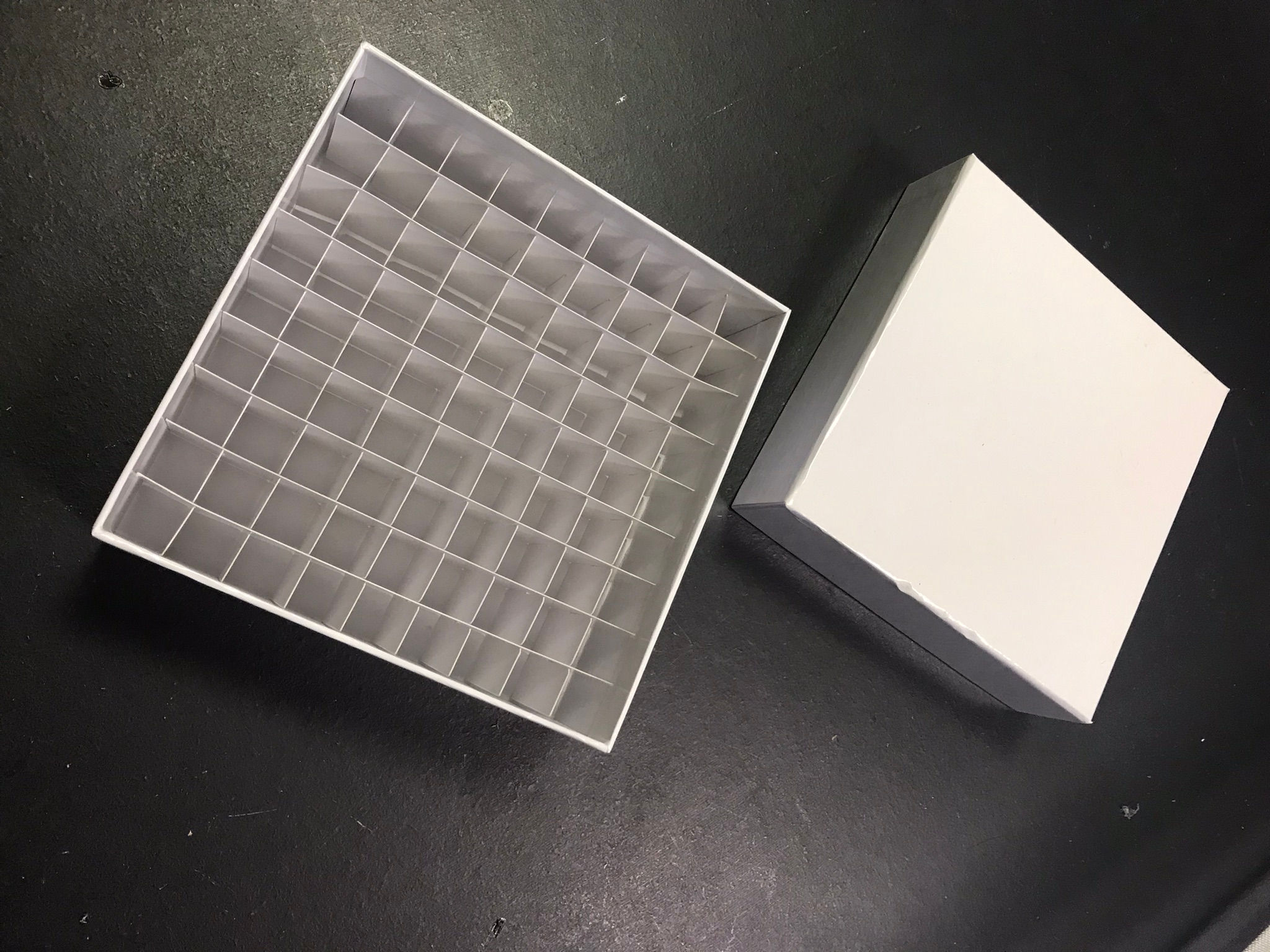 Tall vial storage box for small (13mm cavities) vials