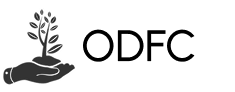 Frame 2147240245.png