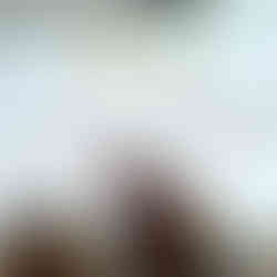 Simone Ott zeigt SoLaWis im Landkreis