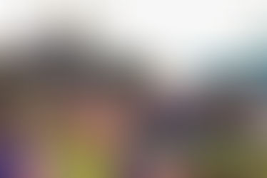 Land unter? – Ferienfreizeit zum Thema Klimakrise