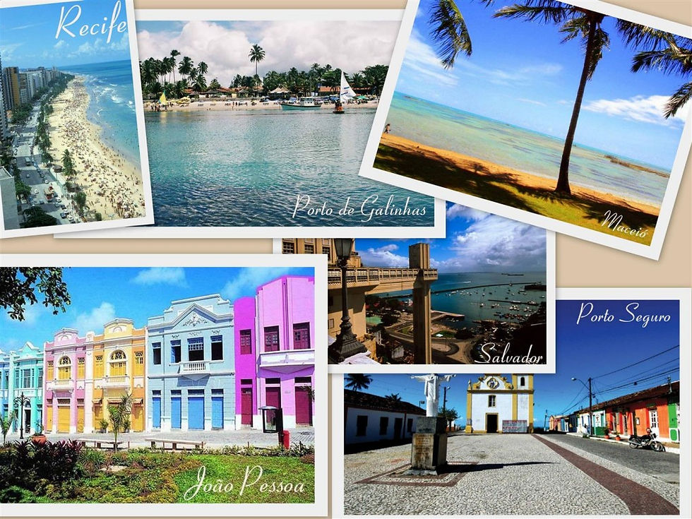 National Trips / Viagens Nacionais