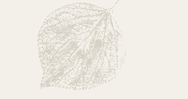 Torres ceramics leaf Logo