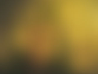 Aceites vegetales vs aceites refinados