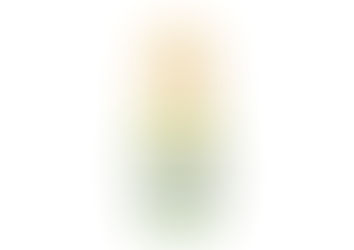 Renace tu piel con el serum plus "Línea Vida": Potencia pura y natural