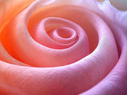 Las frecuencias energéticas de los aceites esenciales