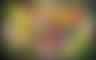 Alimentos que ayudarán a proteger y mejorar tu piel