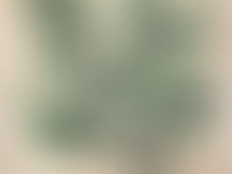 Serie beneficios cutáneos y emocionales: Pistacho (Pistacia vera)