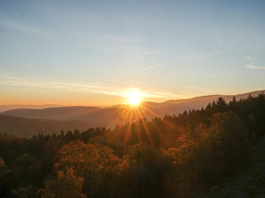 El mejor aliado de nuestra salud: el sol