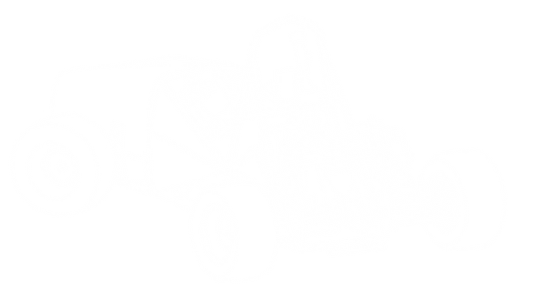 tshirt graphic_edited.png