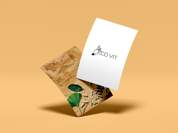 eco vit flyer mockup.png