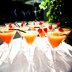 28845_432535576806546_1359275409_n_edited